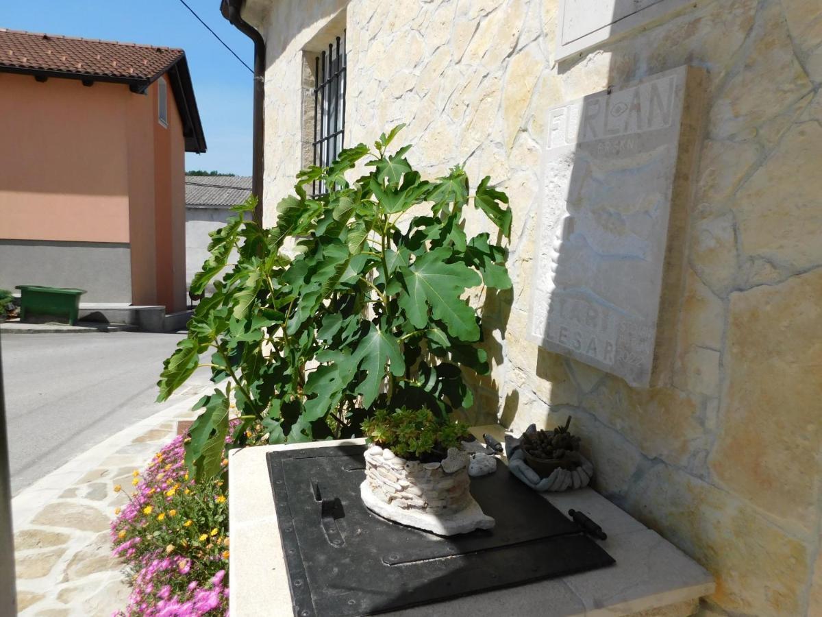 Villa Kamnita Hisa Stari Klesar Ilirska Bistrica Exterior foto